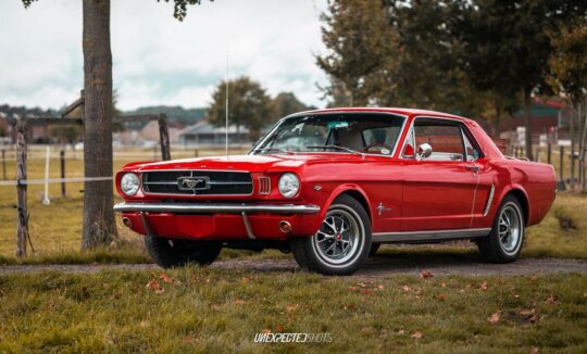 rent a ford mustang classic car cologne